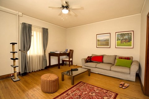 A living room with a grey couch, a coffee table, a cat tree, and two pictures on the wall.