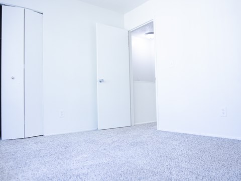 A white room with a carpeted floor and two white doors.