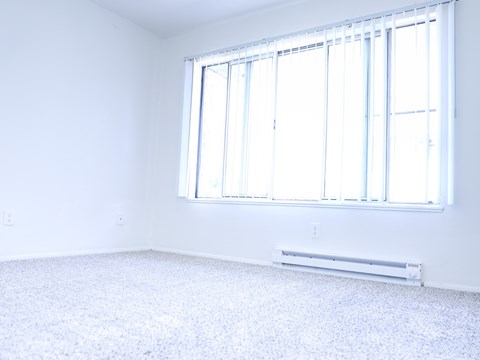 A sunny room with a carpeted floor and a window with blinds.