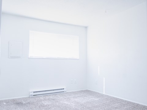 A room with a window and a radiator on the floor.