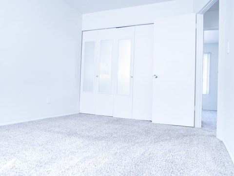 A white room with a carpet and a white door.