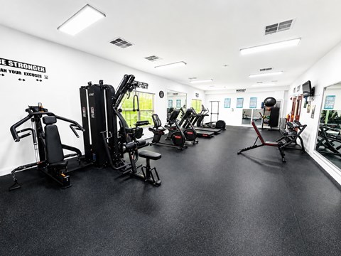 A gym with a variety of equipment including a treadmill, a stationary bike, a rowing machine, a bench press, a squat rack, a leg press machine, a cable machine, a dumbbell