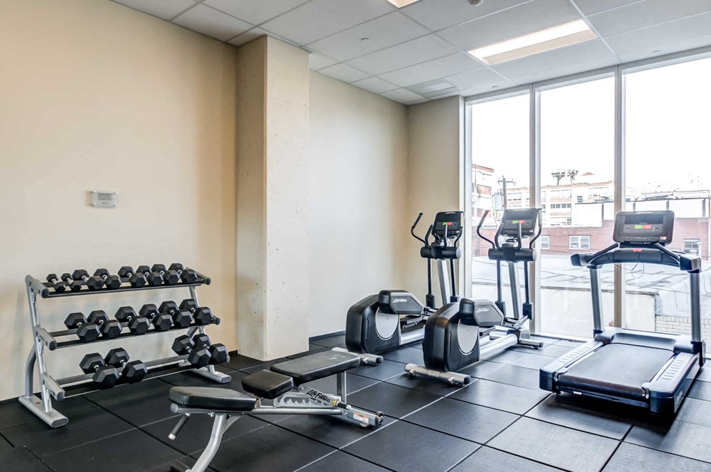A gym with treadmills, weights, and exercise equipment.