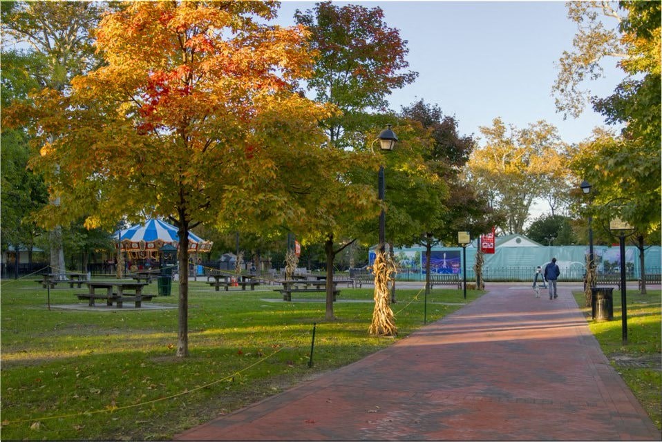 A park with a red brick walkway and trees with yellow leaves.