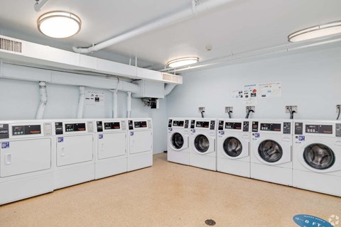 A row of washing machines are lined up in a laundry room.