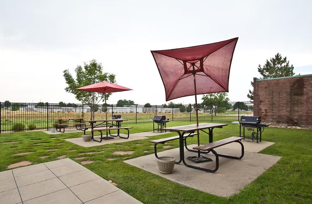 A red umbrella is open in a grassy area.