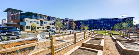 A community garden with raised beds in the foreground and apartment buildings in the background.
