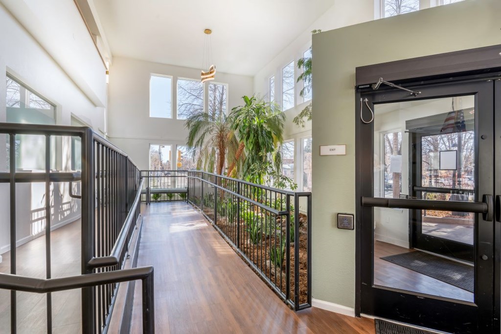 A balcony with a black railing and a potted plant.