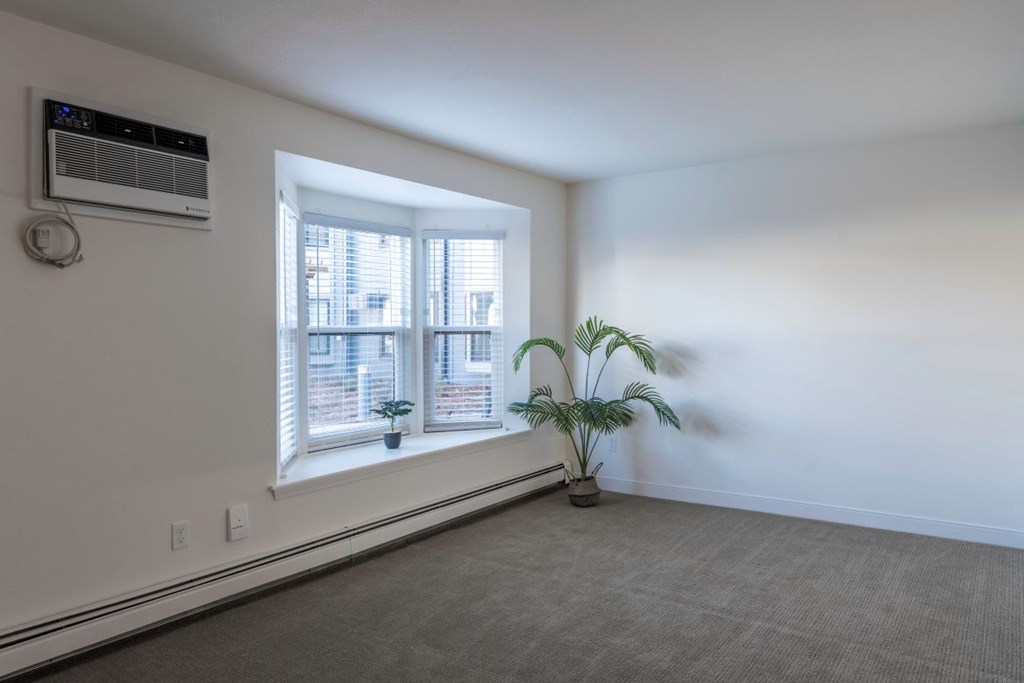 A room with a window, a plant, and an air conditioner.