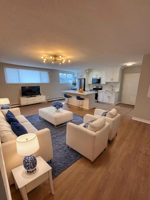 A living room with white furniture and a blue rug.