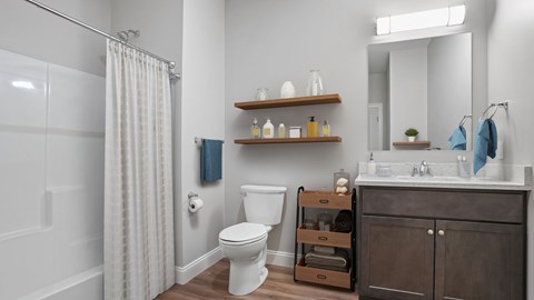 A bathroom with a white toilet, a wooden cabinet, and a shower with a white curtain.
