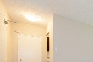157 Pearl St Studio-2 Beds Apartment for Rent - Photo Gallery 2