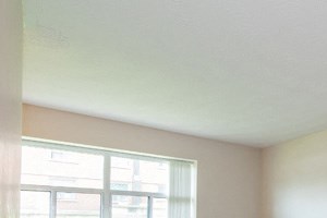 157 Pearl St Studio-2 Beds Apartment for Rent - Photo Gallery 4
