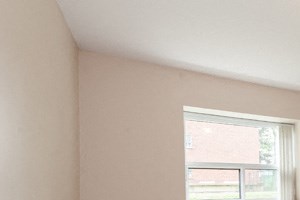 157 Pearl St Studio-2 Beds Apartment for Rent - Photo Gallery 5