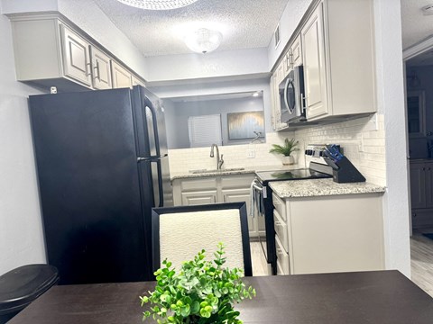 A black fridge in a kitchen with a plant on the table.