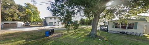 A tree in a grassy area with a house in the background.
