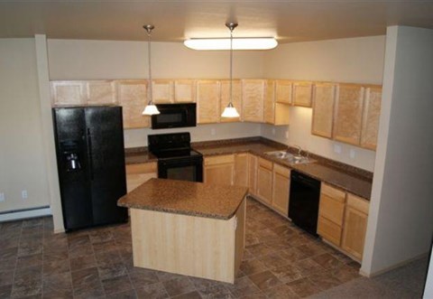 a kitchen with a black refrigerator and a counter top