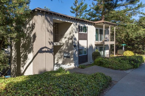 the building where the apartment is located