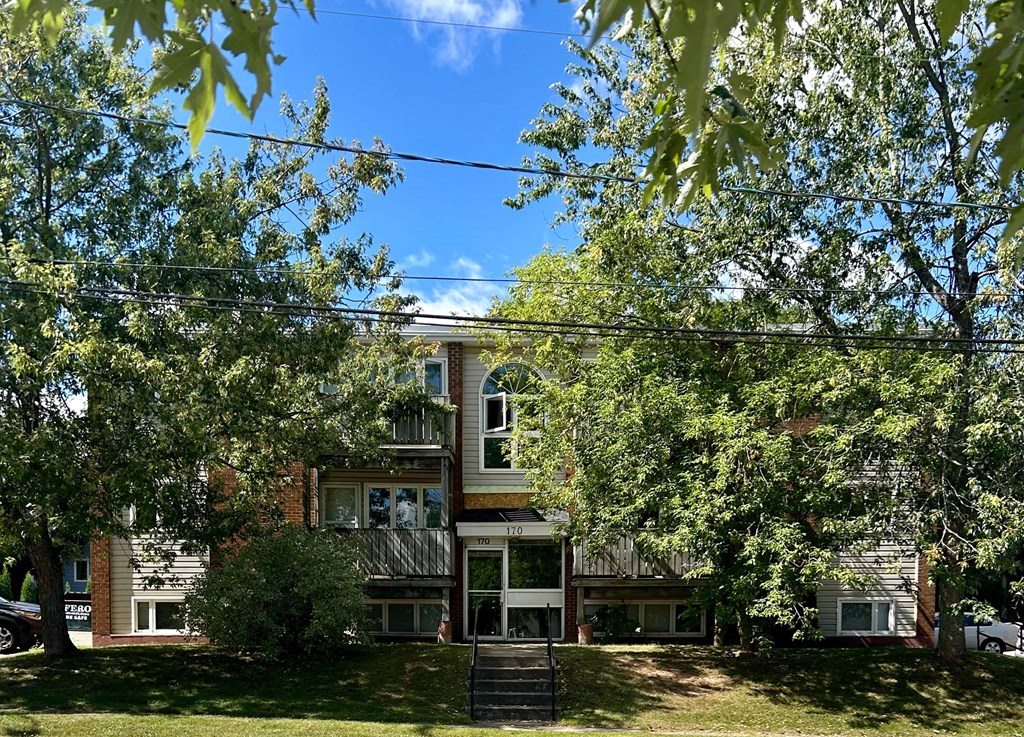 A tree-lined street with a brick building in the background.