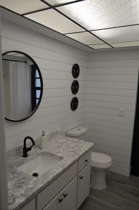 A bathroom with a sink, toilet, and mirror.