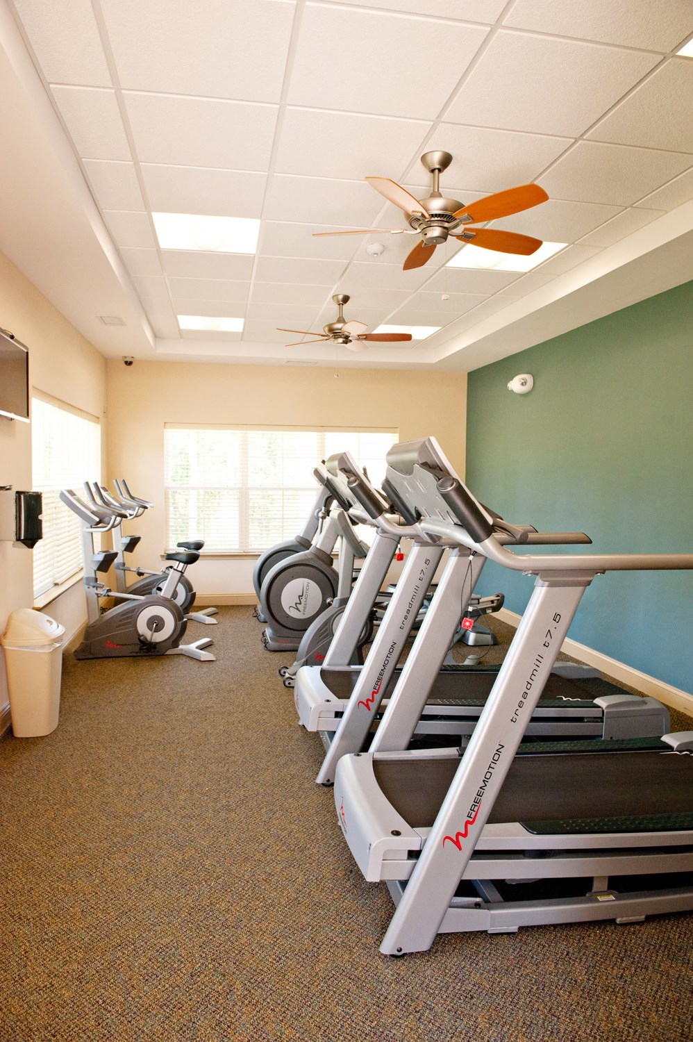 A row of treadmills in a gym.