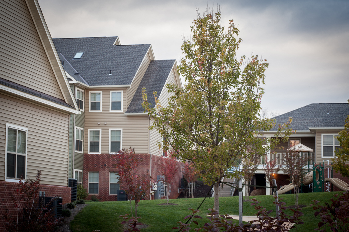 a row of houses with a tree in the yard