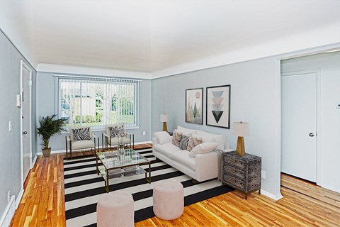 a living room with a white couch and a black and white rug