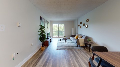 A living room with a couch, chairs, and a potted plant.