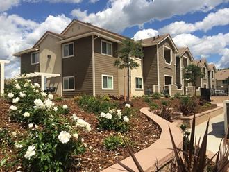 The Oaks at Hackberry | Apartments | Exterior