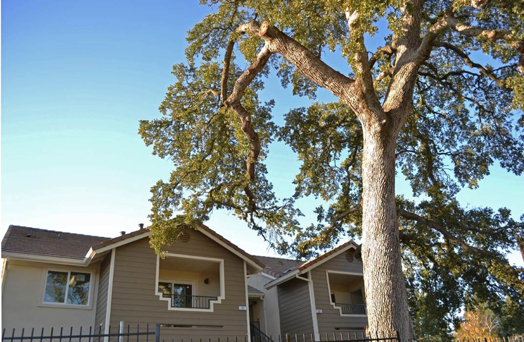 The Oaks at Hackberry | Apartments | Exterior