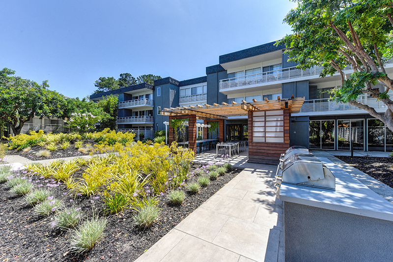Apartments in Sunnyvale, CA - Citra - Exterior View of Building, BBQ Area, and Mature Landscaping