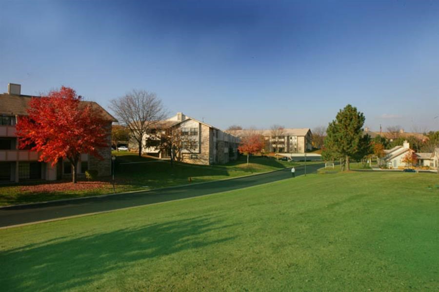 a green lawn in front of a row of houses