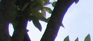 Gateway Park Apartments In Raleigh Nc