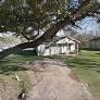 A tree in a yard with a house in the background.