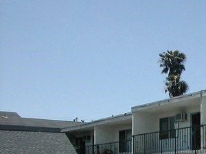 Tradewinds Apartments | 1189 Dana Drive, Fairfield Tradewinds Apartments Pool Photo - Photo Gallery 5