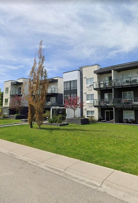 Apartment buildings with a tree in front of them.