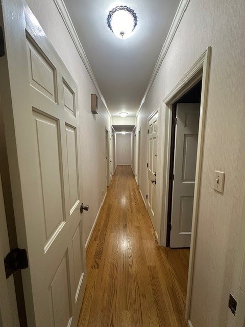 A long hallway with white doors and wooden floors.