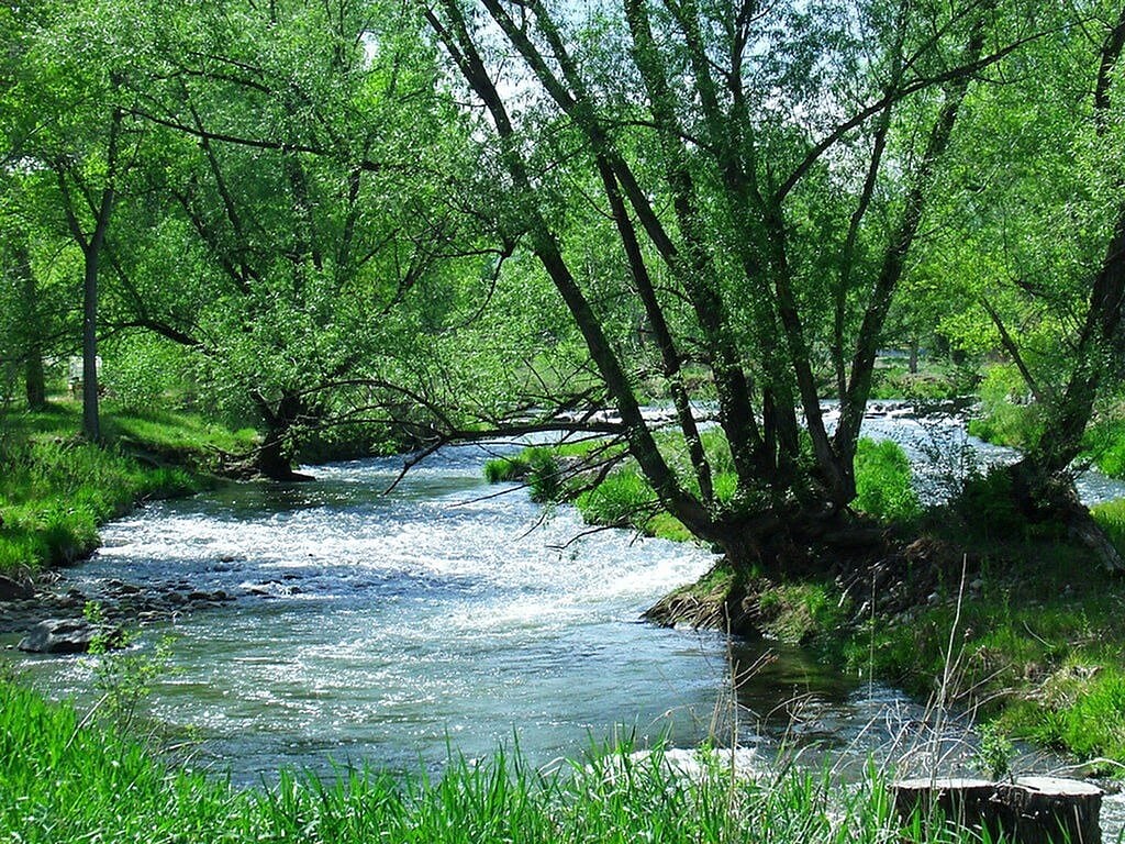 A staircase with a number 83 on the wall.