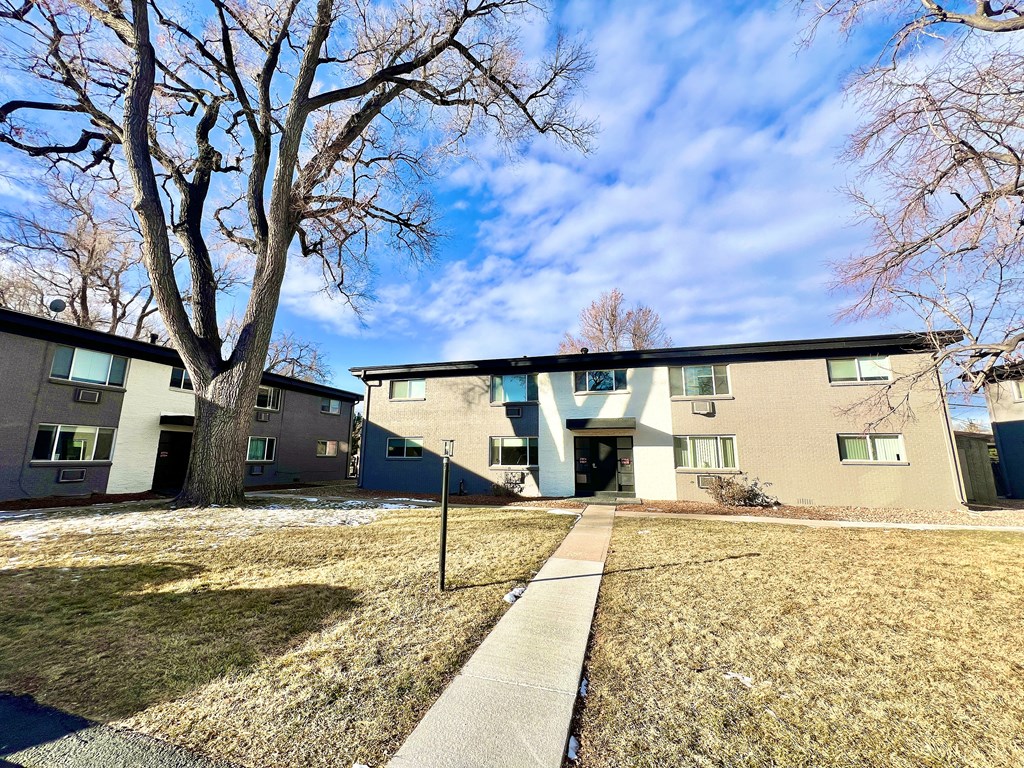 Apartment complex with a leafless tree in front.