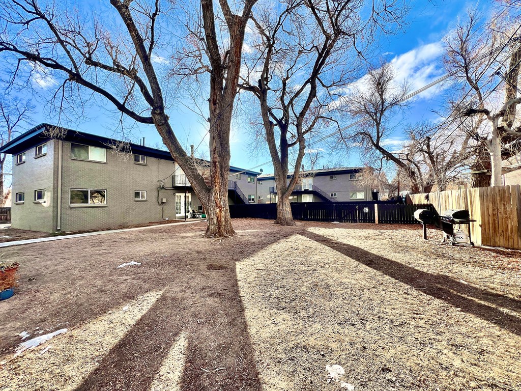 A backyard with a tree and a fence.