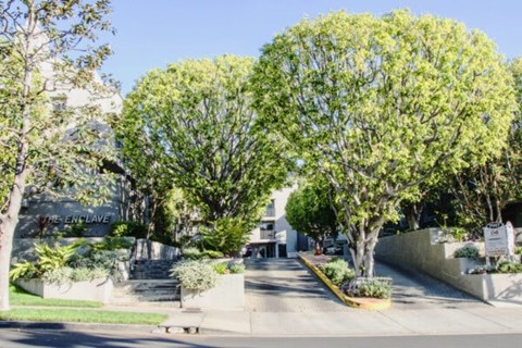 A tree-lined street with a sign that says "The Enclave.".