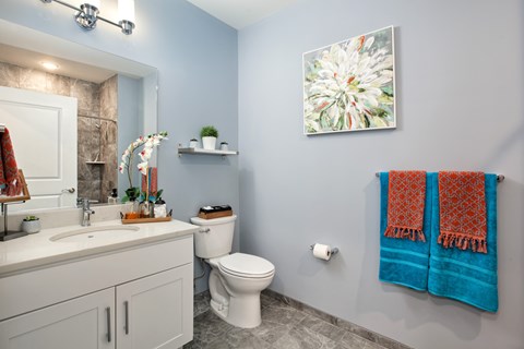 A bathroom with a toilet, sink, and a picture on the wall.