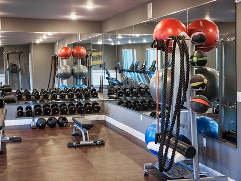 A gym with a variety of equipment including dumbbells, kettlebells, and weight plates.
