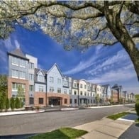 A row of modern houses with a tree in the foreground.