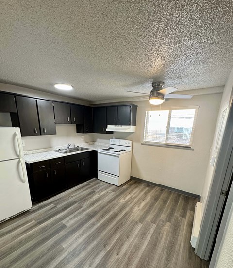 A kitchen with a white refrigerator, black cabinets, and a white dishwasher.