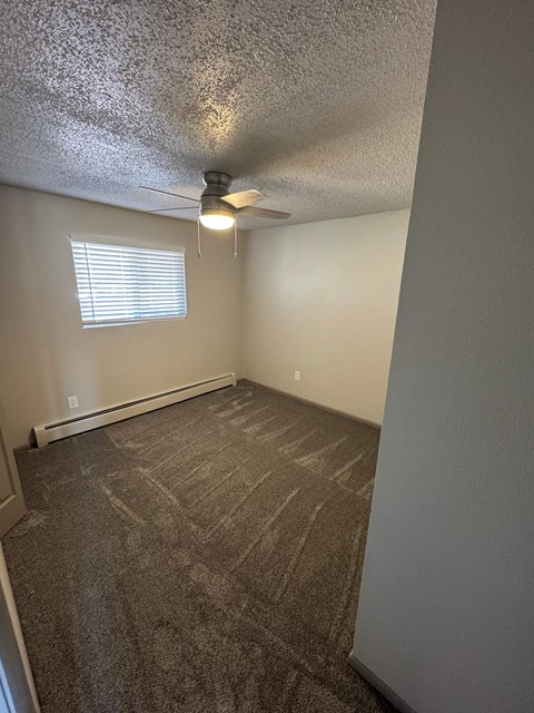 A room with a carpeted floor and a ceiling fan.