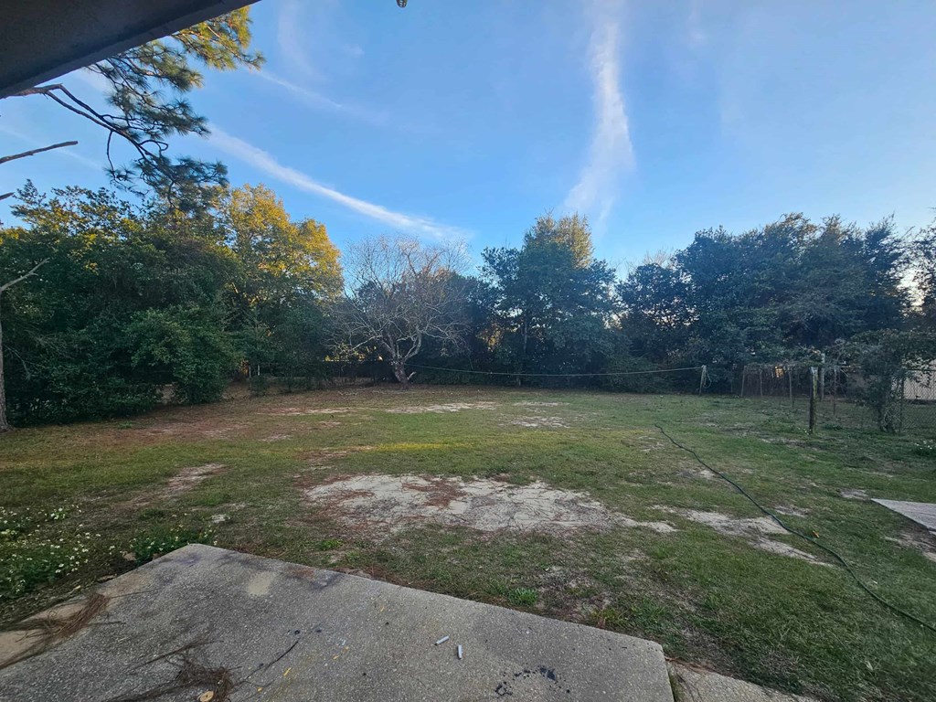 A backyard with a concrete slab and trees.