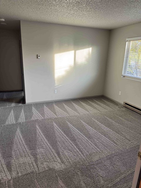 A room with a carpeted floor and a window letting in sunlight.