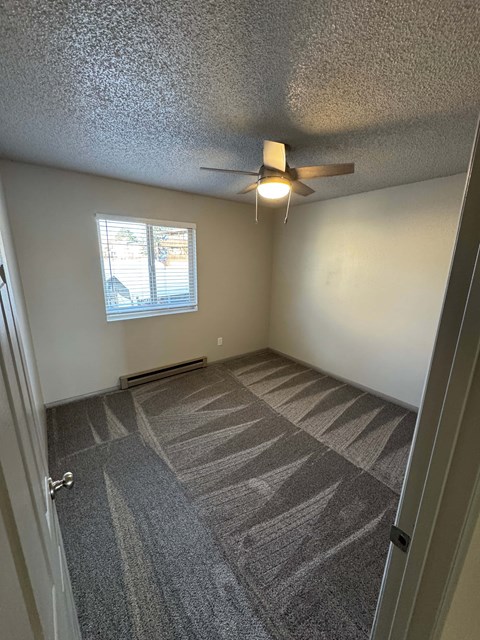 A room with a carpeted floor and a ceiling fan.