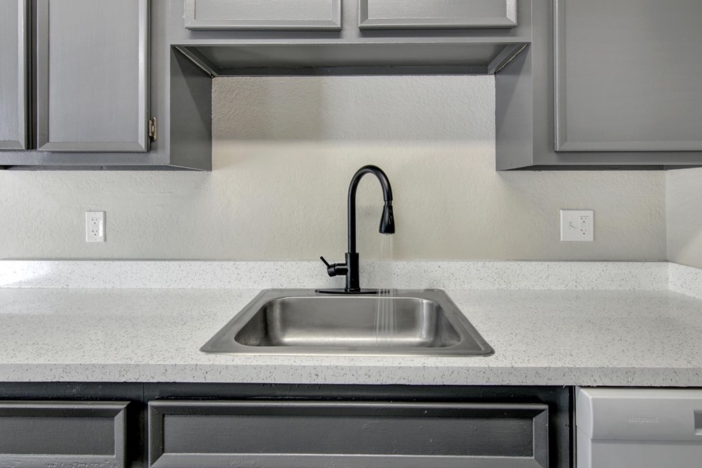 A modern kitchen with a stainless steel sink and dishwasher.